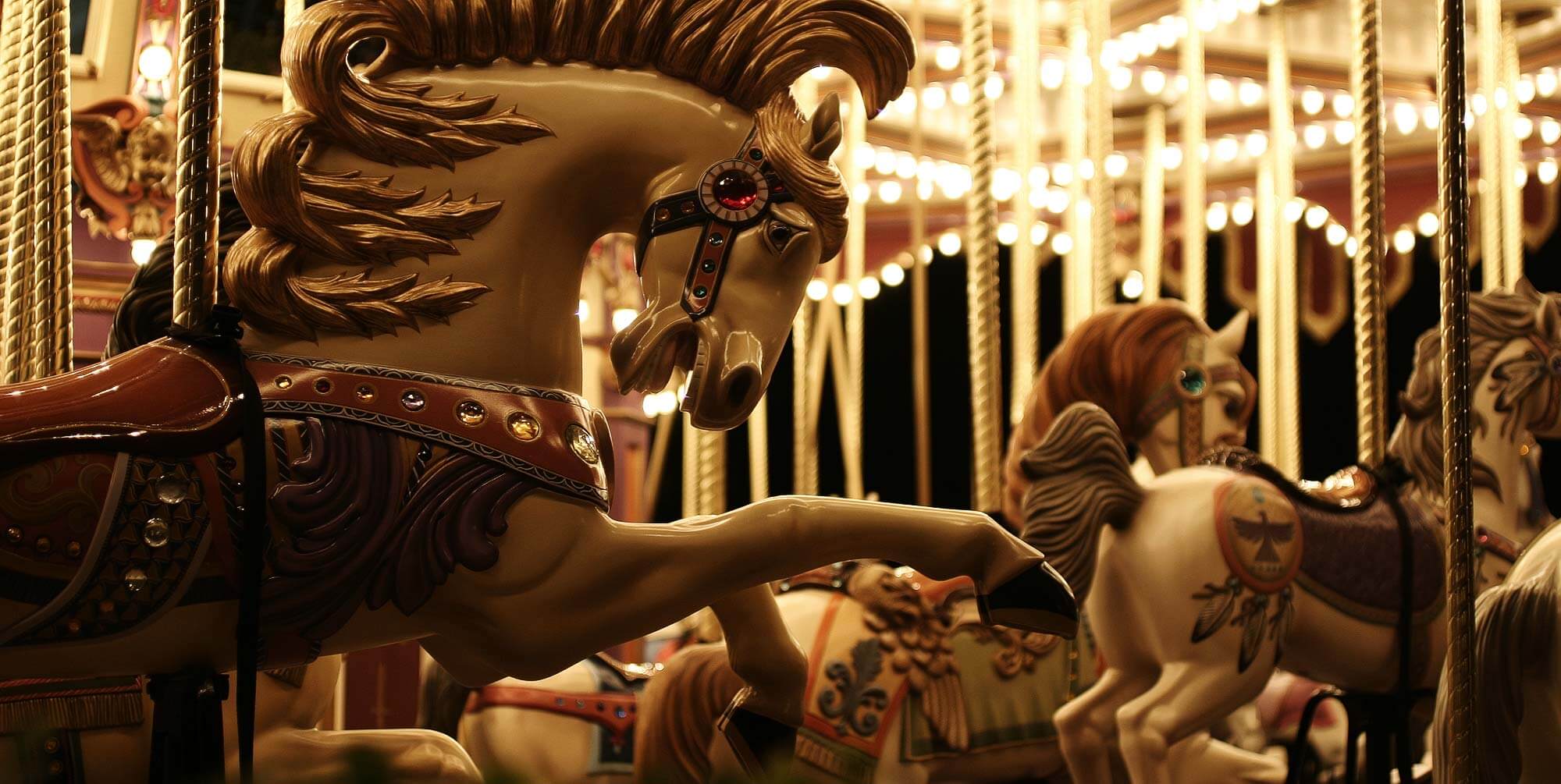 SNW-Website-Carousel-2000x1005