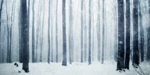 snw-website-seasonal-affective-disorder-2000x1005