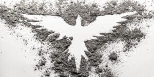 SNW-Website-Like-a-Phoenix-from-the-Ashes-2000x1005