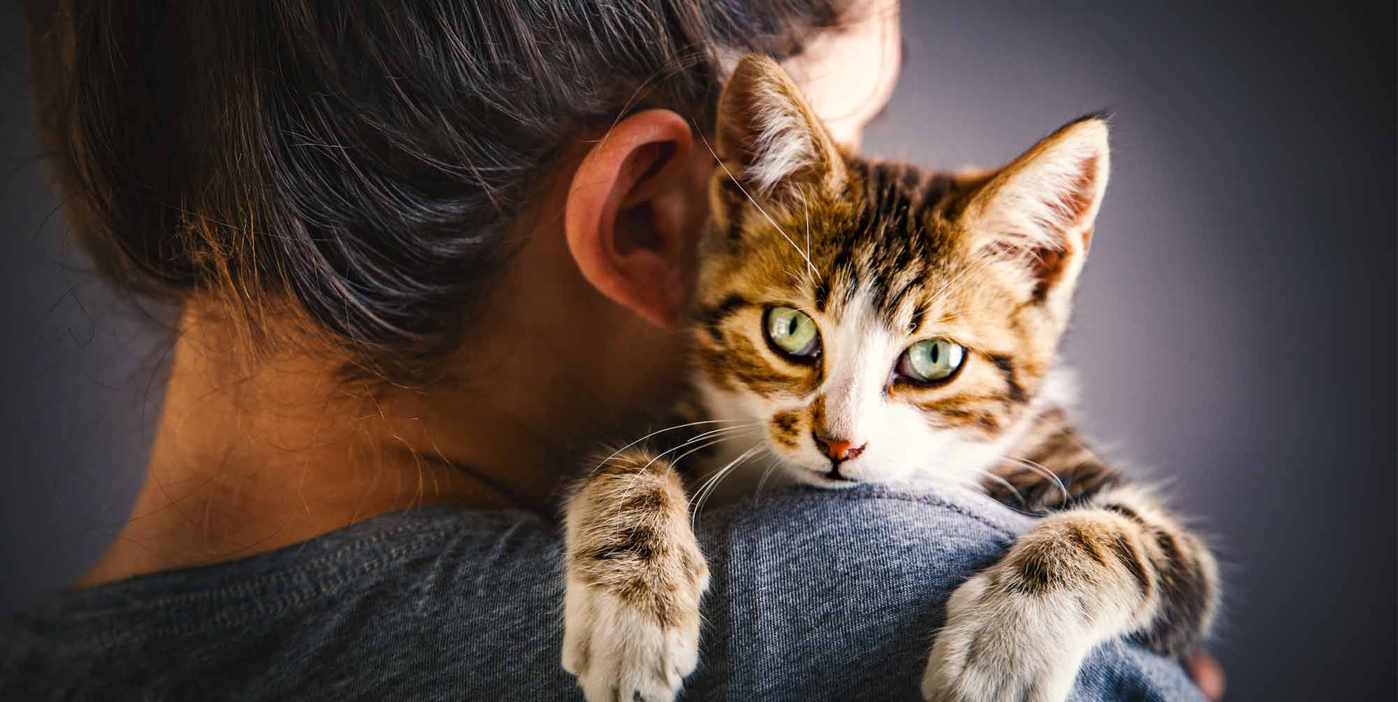 SNW-Website-Cat-Saved-My-Life-2000x1005